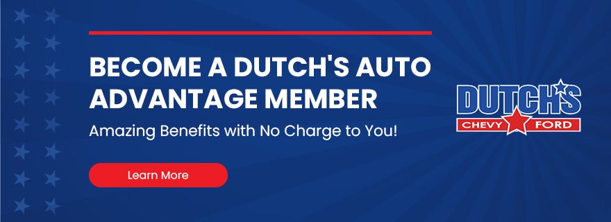 Click to visit dutchsadvantage.com